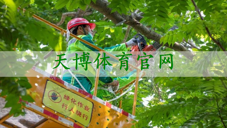 黄冈仿竹栅栏绿化工程